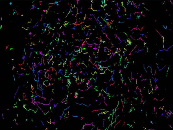 entries/20240527 at 091830 Sunbeam City 🌻.png